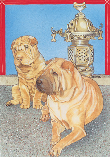 Shar Pei Blank Note Cards Boxed - Pipsqueakproductions