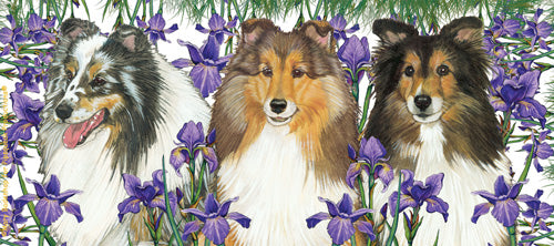 Shetland Sheepdog Sheltie Dog Ceramic Coffee Mug Tea Cup 15 oz - Pipsqueakproductions