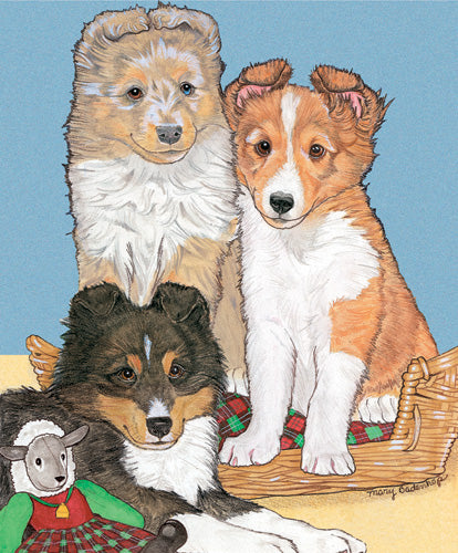 Sheltland Sheepdog Pups Blank Note Cards Boxed - Pipsqueakproductions