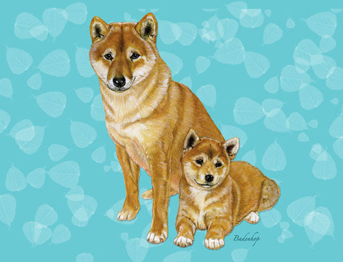 Shiba Inu Blank Note Cards Boxed - Pipsqueakproductions