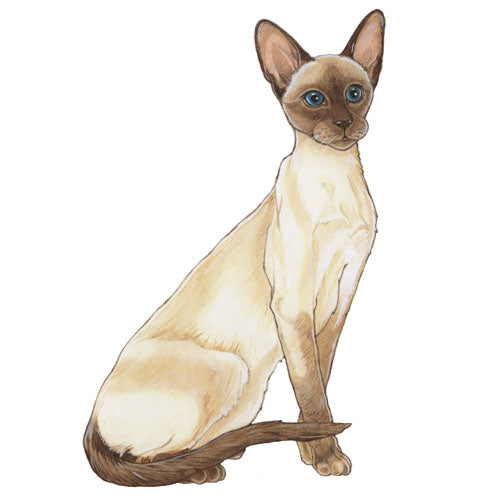 Siamese Cat Magnet Wooden - Pipsqueakproductions