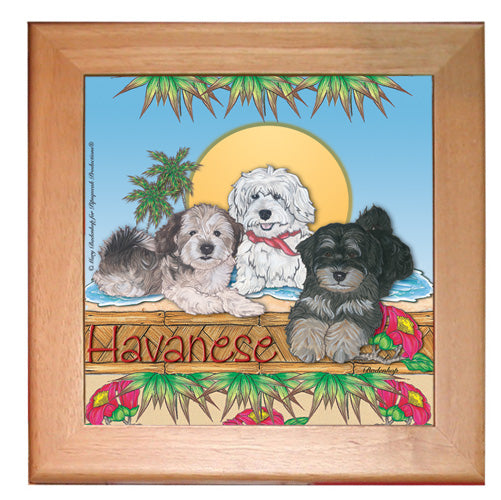 Havanese Dog Kitchen Ceramic Trivet Framed in Pine 8" x 8" - Pipsqueakproductions
