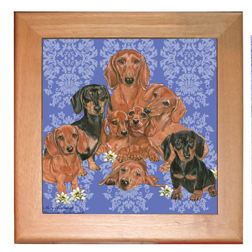 Dachshund Doxie Dog Kitchen Ceramic Trivet Framed in Pine 8" x 8" - Pipsqueakproductions
