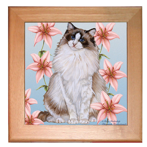 Ragdoll Cat Kitchen Ceramic Trivet Framed in Pine 8" x 8" - Pipsqueakproductions