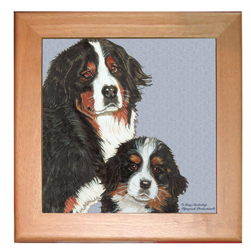 Bernese Mountain Dog Kitchen Ceramic Trivet Framed in Pine 8" x 8" - Pipsqueakproductions