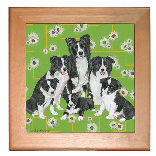 Border Collie Dog Kitchen Ceramic Trivet Framed in Pine 8" x 8" - Pipsqueakproductions