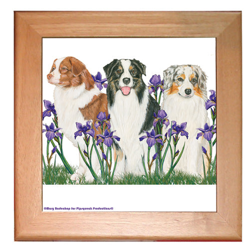 Australian Shepherd Aussie Dog Kitchen Ceramic Trivet Framed in Pine 8" x 8" - Pipsqueakproductions