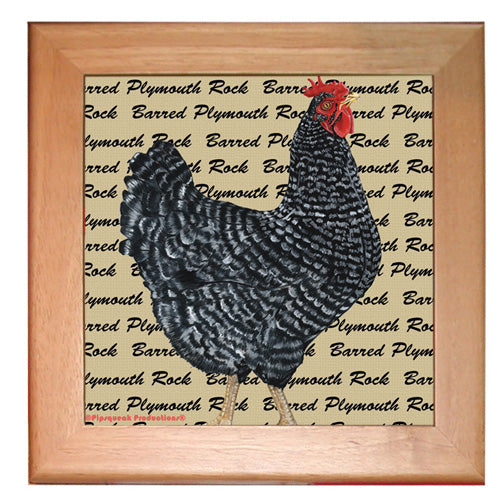 Chicken Barred Plymouth Rock Kitchen Ceramic Trivet Framed in Pine 8" x 8" - Pipsqueakproductions