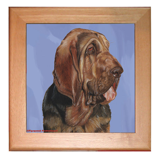 Bloodhound Dog Kitchen Ceramic Trivet Framed in Pine 8" x 8" - Pipsqueakproductions