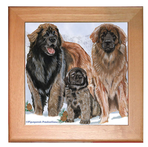 Leonberger Dog Kitchen Ceramic Trivet Framed in Pine 8" x 8" - Pipsqueakproductions
