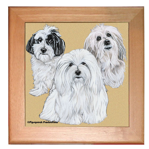 Coton De Tulear Dog Kitchen Ceramic Trivet  Framed in Pine 8" x 8" - Pipsqueakproductions