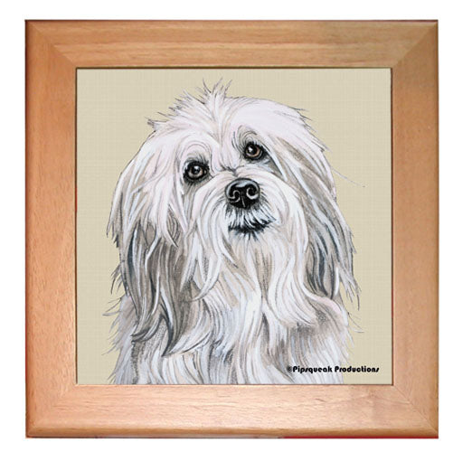 Coton De Tulear Dog Kitchen Ceramic Trivet Framed in Pine 8" x 8" - Pipsqueakproductions