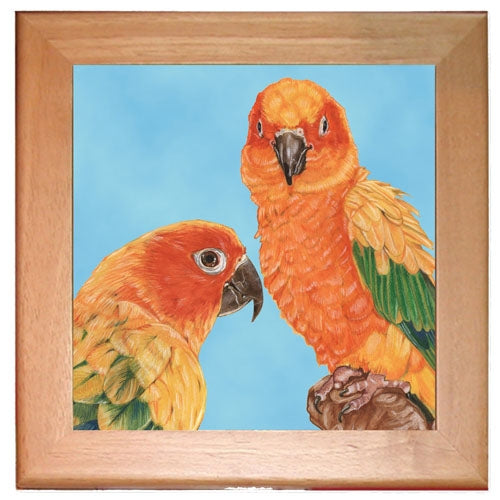 Sun Conure Parrot Kitchen Ceramic Trivet Framed in Pine 8" x 8" - Pipsqueakproductions