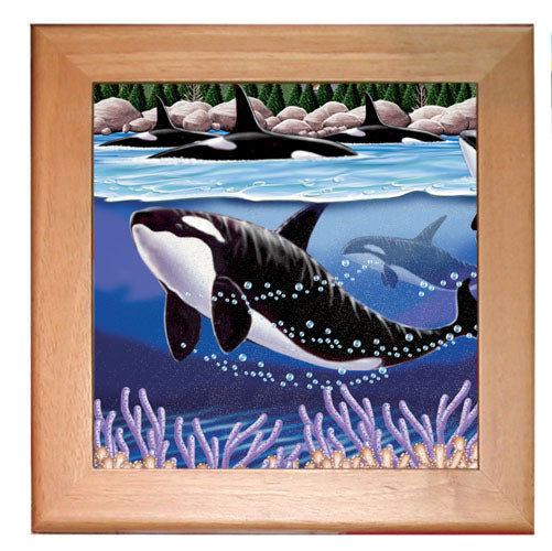 Orca Whale Kitchen Ceramic Trivet Framed in Pine 8" x 8" - Pipsqueakproductions