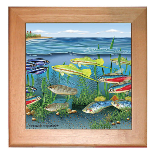 Tetra Fish Kitchen Ceramic Trivet Framed in Pine 8" x 8" - Pipsqueakproductions