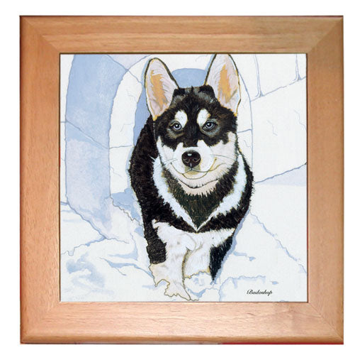 Siberian Husky Dog Kitchen Ceramic Trivet Framed in Pine 8" x 8" - Pipsqueakproductions