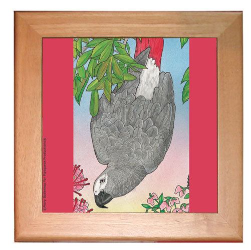 African Grey Parrot Kitchen Ceramic Trivet Framed in Pine 8" x 8" - Pipsqueakproductions