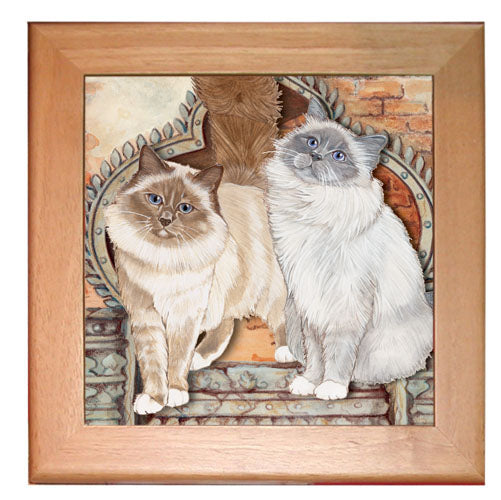 Birman Cat Kitchen Ceramic Trivet Framed in Pine 8" x 8" - Pipsqueakproductions