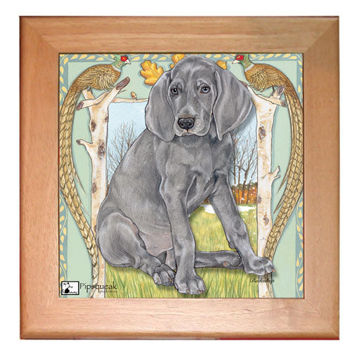 Weimaraner Dog Kitchen Ceramic Trivet Framed in Pine 8" x 8" - Pipsqueakproductions