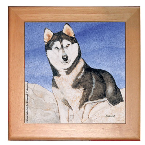 Siberian Husky Dog Kitchen Ceramic Trivet Framed in Pine 8" x 8" - Pipsqueakproductions