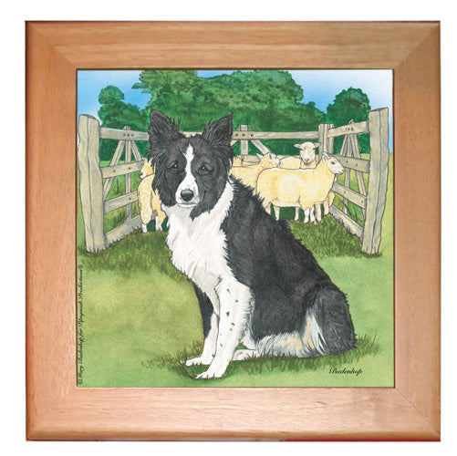 Border Collie Dog Kitchen Ceramic Trivet Framed in Pine 8" x 8" - Pipsqueakproductions