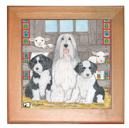 Bearded Collie Dog Kitchen Ceramic Trivet Framed in Pine 8" x 8" - Pipsqueakproductions