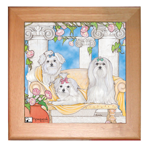 Maltese Dog Kitchen Ceramic Trivet Framed in Pine 8" x 8" - Pipsqueakproductions