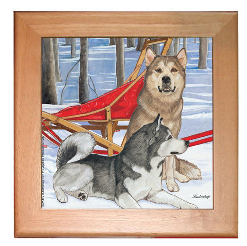 Alaskan Malamute Dog Kitchen Ceramic Trivet Framed in Pine 8" x 8" - Pipsqueakproductions