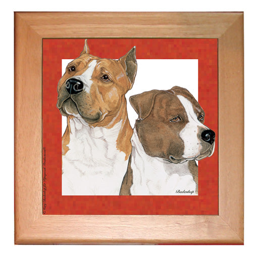 American Staffordshire Terrier Amstaff Dog Kitchen Ceramic Trivet Framed in Pine 8" x 8" - Pipsqueakproductions