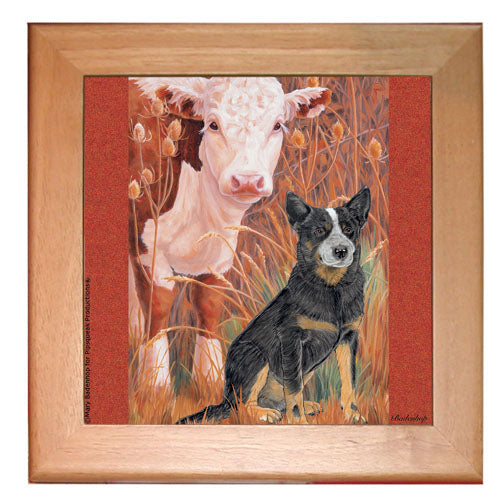 Australian Cattle Dog Kitchen Ceramic Trivet Framed in Pine 8" x 8" - Pipsqueakproductions