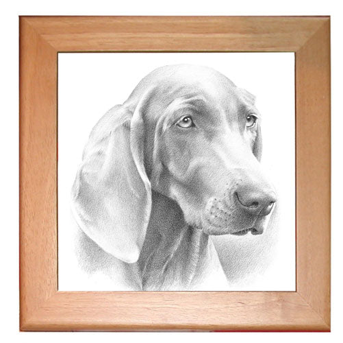 Weimaraner Dog Kitchen Ceramic Trivet Framed in Pine 8" x 8" - Pipsqueakproductions
