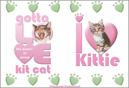 Cat Water Bottle - Pipsqueakproductions