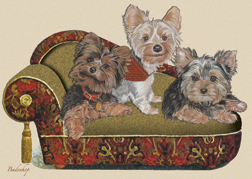 Yorkshire Terrier Blank Note Cards Boxed - Pipsqueakproductions