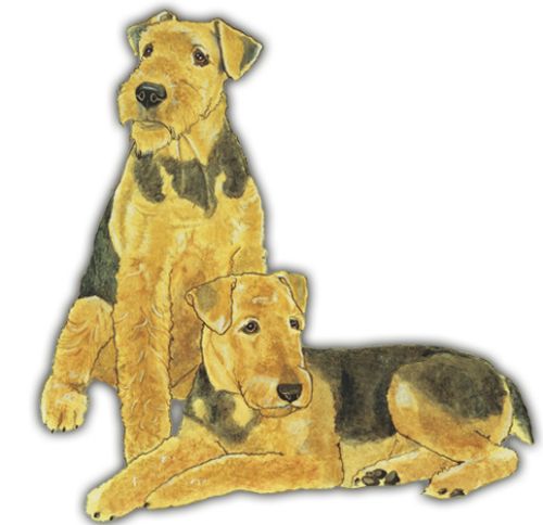 Airedale Terrier Magnet Wooden