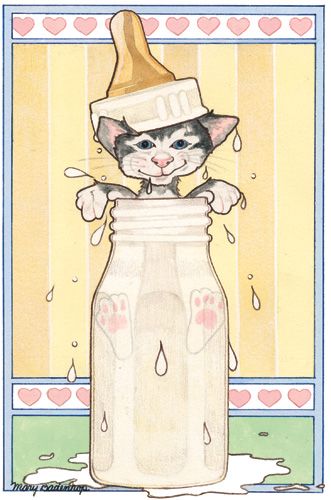 Kitty Announcement Cards Set of 10 cards & 10 envelopes