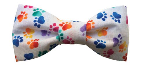 Dog Bow Tie White with Multi Party Color Paws 