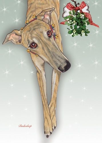 Greyhound Christmas Card 5 x 7 with Envelope