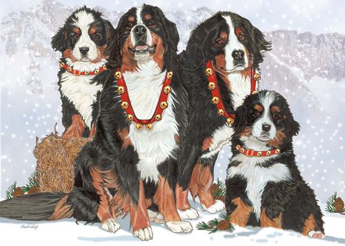 Bernese Mountain Dog Christmas Cards Set of 10 cards & 10 envelopes