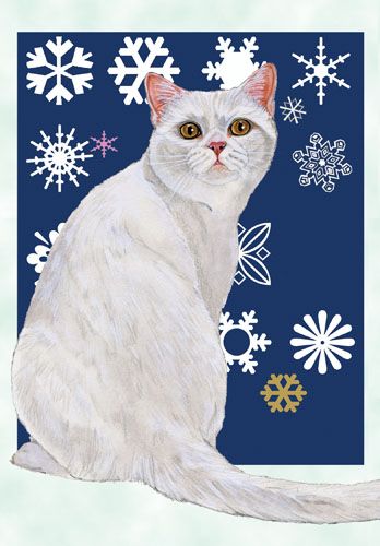 Cat White Christmas Cards Set of 10 cards & 10 envelopes