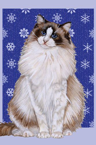 Ragdoll Cat Christmas Cards Set of 10 cards & 10 envelopes