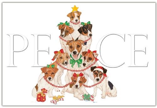 Jack Russell Terrier Christmas Card 5 x 7 with Envelope