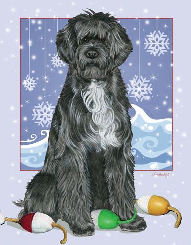 Portuguese Water Dog Portie Christmas Cards Set of 10 cards & 10 envelopes