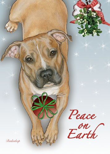 Pit Bull Christmas Cards Set of 10 cards & 10 envelopes