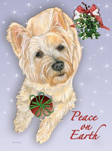 Cairn Terrier Christmas Cards Set of 10 cards & 10 envelopes