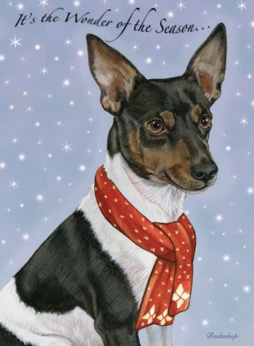 Rat Terrier Christmas Cards Set of 10 cards & 10 envelopes
