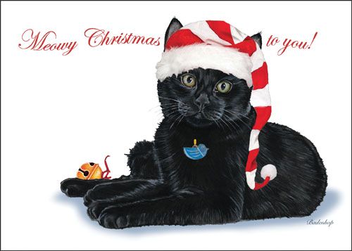 Black Cat Christmas Cards Set of 10 cards & 10 envelopes