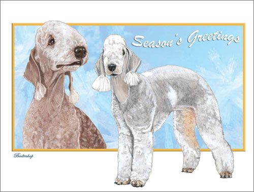Bedlington Terrier Christmas Cards Set of 10 cards & 10 envelopes
