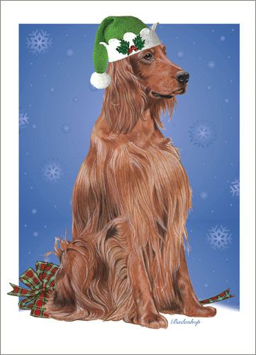 Irish Setter Christmas Cards Set of 10 cards & 10 envelopes