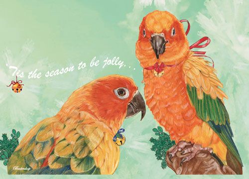 Sun Conure Parrot Christmas Cards Set of 10 cards & 10 envelopes