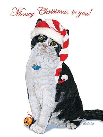Cat Black and White Tuxedo Christmas Cards Set of 10 cards & 10 envelopes